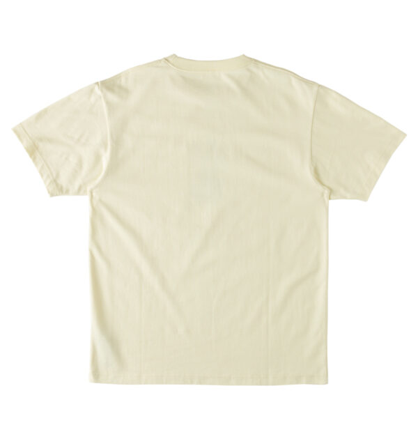 dc shoes JOHNS HOUSE t-shirt