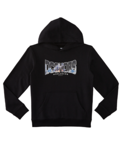 dc shoes Astro Hoodie kids