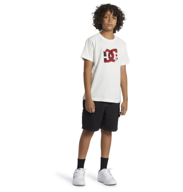 dc shoes CARPENTER BAGGY kids