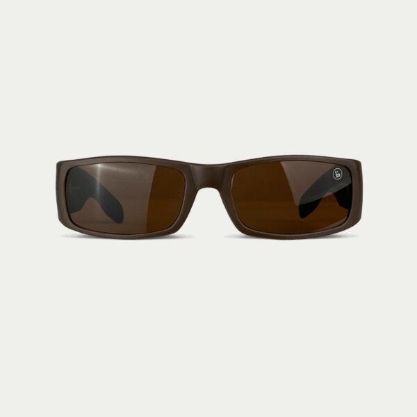 Buchan Sunglasses Solid Brown