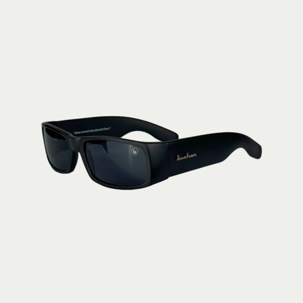 Buchan Sunglasses Black