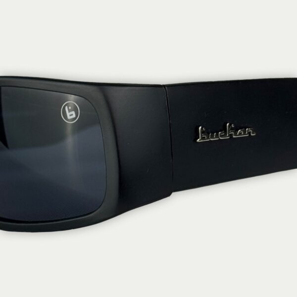 Buchan Sunglasses Black