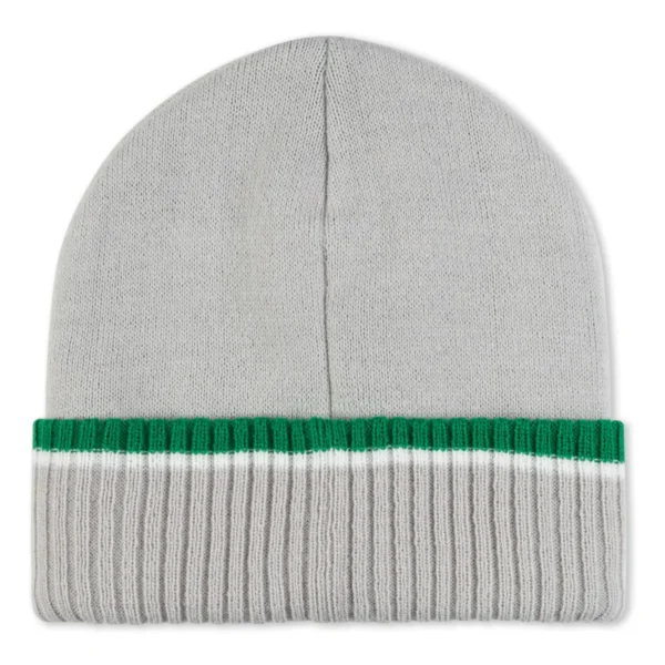 RIPNDIP LORD NERMAL TEAM SPIRIT BEANIE GREEN/GREY