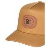 DC Reynotts Snapback Cap