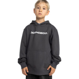 DC HOODIE Whereabouts KID GREY