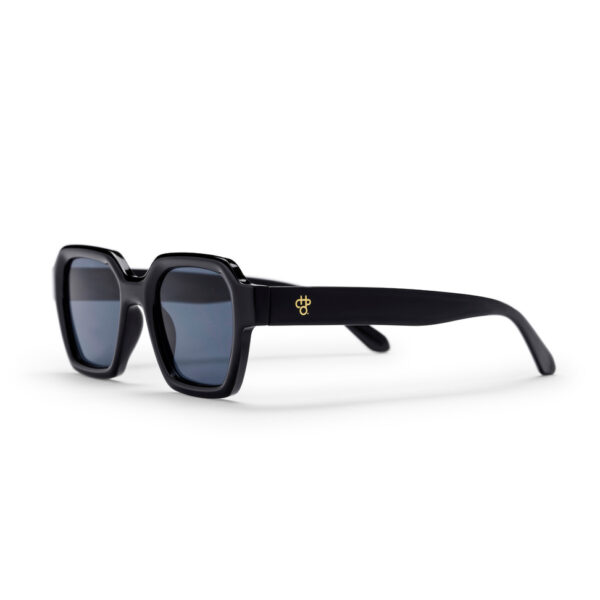 CHPO BRAND THE AK SUNGLASSES BLACK unisex