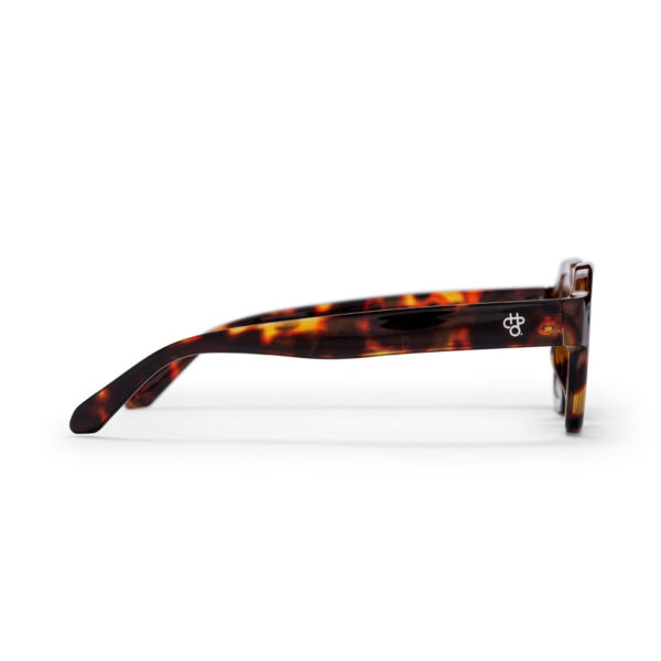 CHPO BRAND THE AK SUNGLESSES TURTLE BROWN