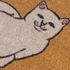 RIPNDIP WALK DOOR MAT BROWN (90cmx57cm)
