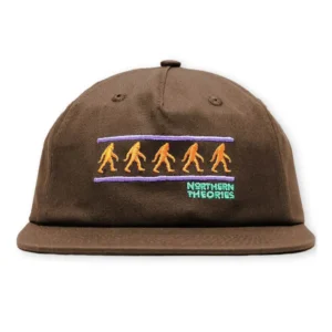 THEORIES Northern Theories Embroidered Snapback Hat (Brown)