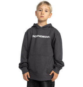 DC HOODIE Whereabouts KID GREY